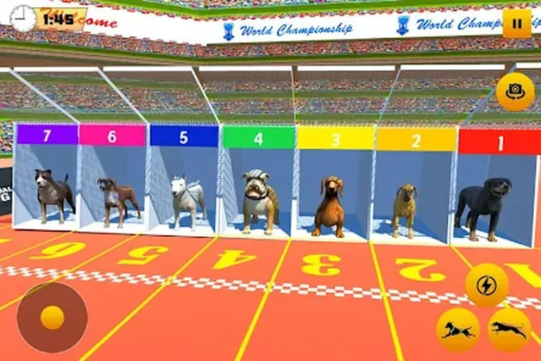 Kinh Nghiệm Chơi Game Nhanh Đua Chó Tại AA88 Đỉnh Cao Cho Cược Thủ